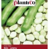 Bredbønne Hvid Windsor 50g PlantiCo frø