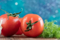 Brændenældegødning Naturligt koncentrat til pottetomatplanter 0,5 l