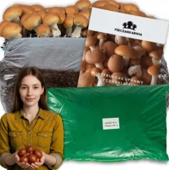 Brun svampemycelium 20 kg dyrkningssæt ballesubstrat + tørv 9 kg