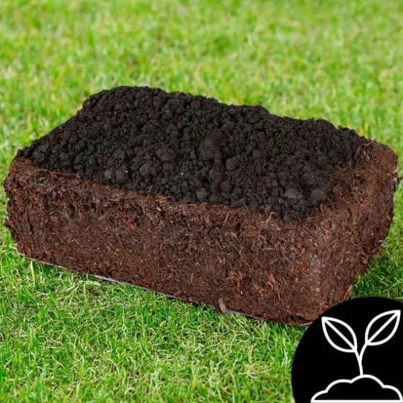 Brun svampemycelium 30 kg stort dyrkningssæt Instruktioner + Gratis
