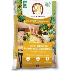 Citrus- og middelhavsplantejord - BRUN GULD - OBRTAGR6U - 6L - Oliventræer, palmer og cycas
