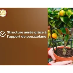 Citrus- og middelhavsplantejord - BRUN GULD - OBRTAGR6U - 6L - Oliventræer, palmer og cycas