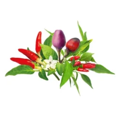 Click & Grow - Smart Garden Refill 9-pak chilipeberblanding