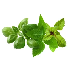 Click & Grow - Smart Garden Refill 9-pak Basil Variety Mix