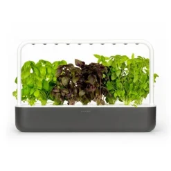 Click & Grow - Smart Garden 9 Startsæt (Farve: Mørkegrå) (SG9S8UNI)