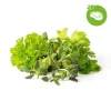 Click & Grow - Smart Garden Refill 9-pak Grill & Steak Mix