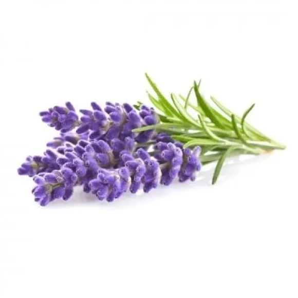 Click & Grow - Smart Garden Refill 3-pak - Lavendel (SGR30X3)