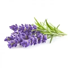 Click & Grow - Smart Garden Refill 3-pak - Lavendel (SGR30X3)