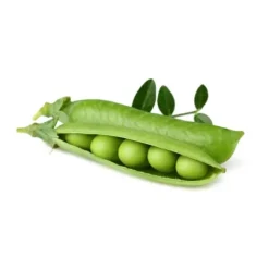 Click & Grow - Smart Garden Refill 3-pak dværgærter