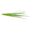 Click & Grow Smart Garden Refill 3-pak - purløg (SGR38X3)