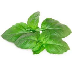 Click & Grow Smart Garden refill Marseille Basilikum 3 stk