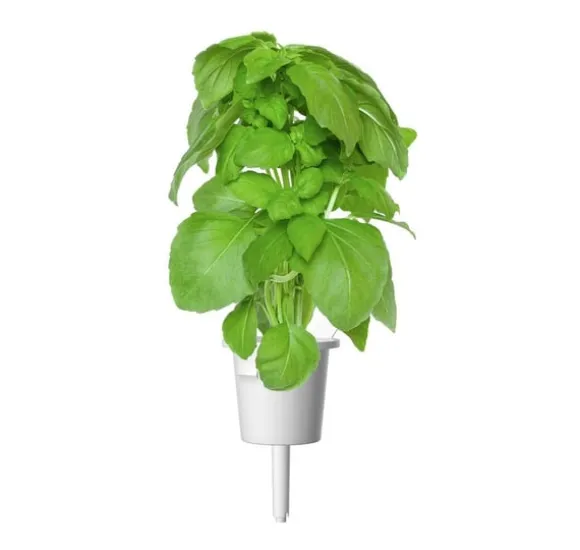 Click & Grow Smart Garden refill Marseille Basilikum 3 stk