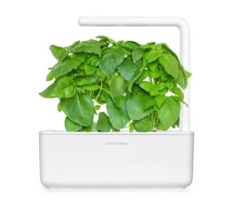 Click & Grow Smart Garden refill Marseille Basilikum 3 stk