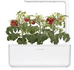 Click & Grow Smart Garden refill Mini Tomat 3 stk