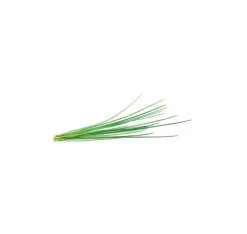 Click & Grow Smart Garden refill Purløg 3 stk