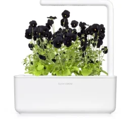 Click & Grow Smart Garden refill Sort stedmoderblomst 3 stk