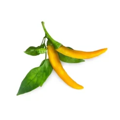 Click & Grow Smart Garden Refill 3-pak gul chilipeber