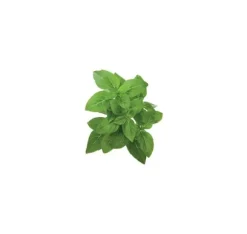 Click & Grow Smart Garden refill Dværgbasilikum 3 stk