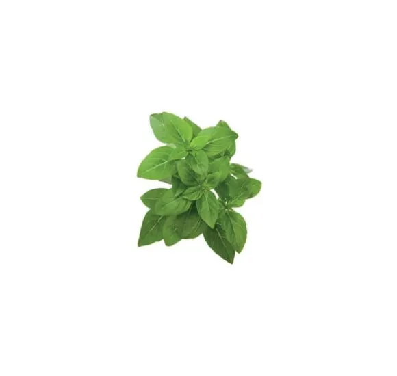 Click & Grow Smart Garden refill Dværgbasilikum 3 stk