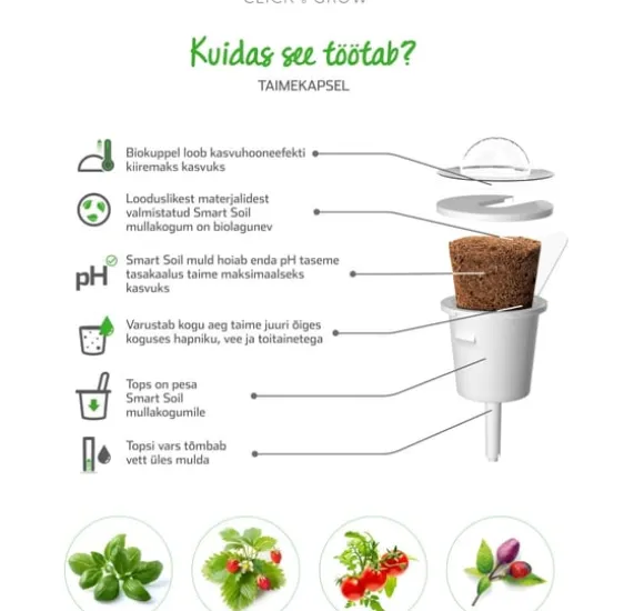 Click & Grow Smart Garden refill Dværgbasilikum 3 stk