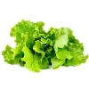 Click & Grow Smart Garden Refill 3-pak - Grøn salat (SGR32X3)