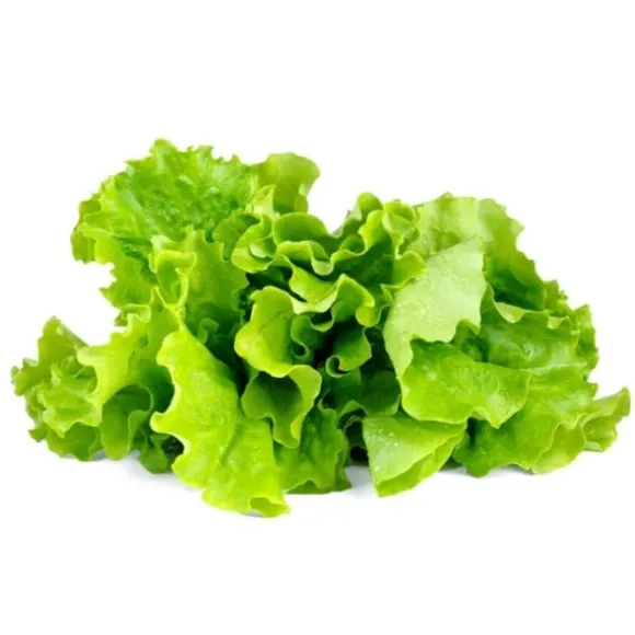 Click & Grow Smart Garden Refill 3-pak - Grøn salat (SGR32X3)