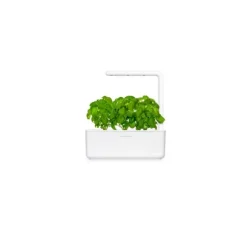 Click & Grow Smart Garden refill Basilikum 3 stk