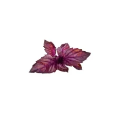 Click & Grow Smart Garden refill Rød Basilikum 3 stk