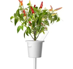 Click & Grow Smart Garden refill Red Hot Chili Pepper 3 stk