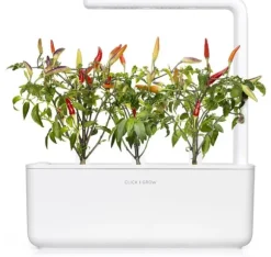 Click & Grow Smart Garden refill Red Hot Chili Pepper 3 stk