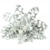 Click & Grow- Smart Garden Refill 3-pak Dusty Miller