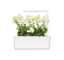 Click & Grow Smart Refill White Snapdragon 3 stk