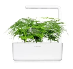 Click & Grow Smart Refill Feather spar 3stk