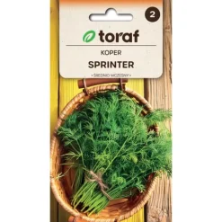 Dildfrø Sprinter - Kraftig vækst med lang høstperiode