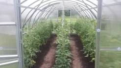 Drivhus Baumera BALTIC 3x10m med 6 mm polycarbonatbelægning