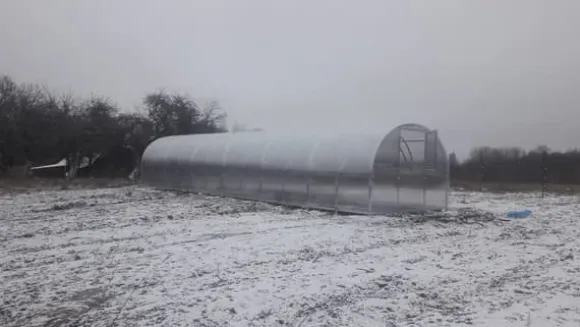 Drivhus Baumera BALTIC 3x10m med 6 mm polycarbonatbelægning