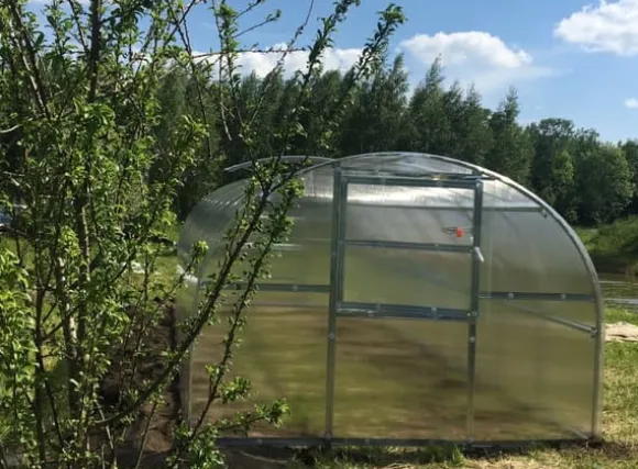 Drivhus Baumera BALTIC 3x6m med 6 mm polycarbonatbelægning