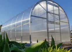 Drivhus Baumera Klasika 3x6m med 6 mm polycarbonat belægning