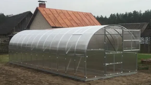 Drivhus Baumera Klasika 3x10m med 4 mm polycarbonatbelægning