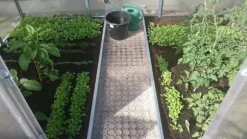 Drivhus Baumera Klasika 3x10m med 4 mm polycarbonatbelægning