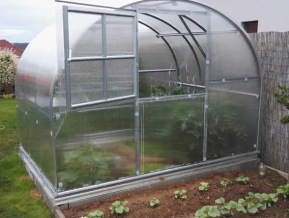 Drivhus Baumera Klasika 3x10m med 4 mm polycarbonatbelægning
