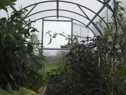 Drivhus Baumera Klasika 3x4m med 4 mm polycarbonatbelægning