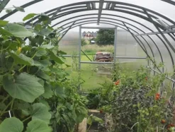 Drivhus Baumera Klasika 3x4m med 4 mm polycarbonatbelægning