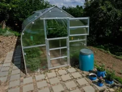 Drivhus Baumera STANDARD 20 - 2,5x8m med 6 mm polycarbonatbelægning