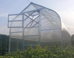 Drivhus Baumera STANDARD 15 - 2,5x6m med 4 mm polycarbonatbelægning