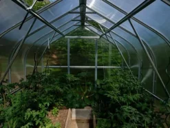 Drivhus Baumera STANDARD 15 - 2,5x6m med 4 mm polycarbonatbelægning