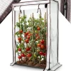 Drivhus til tomater 100 x 50 x 150 cm