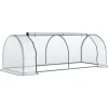 Drivhus, 250x100x80 cm, Transparent