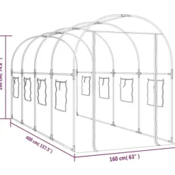 Drivhuse - Living drivhus 160x400x190 cm PVC og pulverlakeret stål transparent