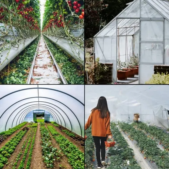 Drivhusfilm, 8x25 fod polyethylen til drivhus. Holdbar plast til optimal vækst!